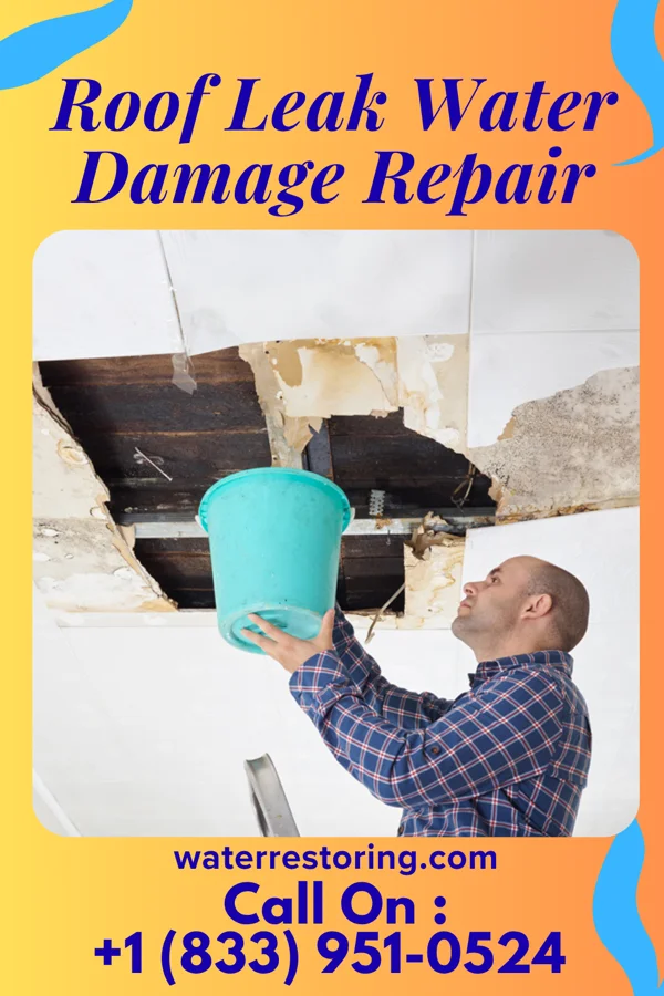 Roof Leak Water Damage Repair in Citrus Park, FL